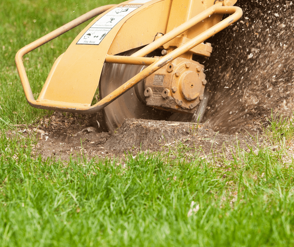 STUMP GRINDING NORTH RIDGEVILLE OHIO.