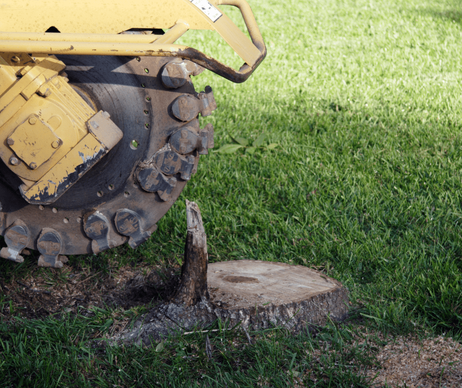 STUMP GRINDING AVON LAKE OHIO.