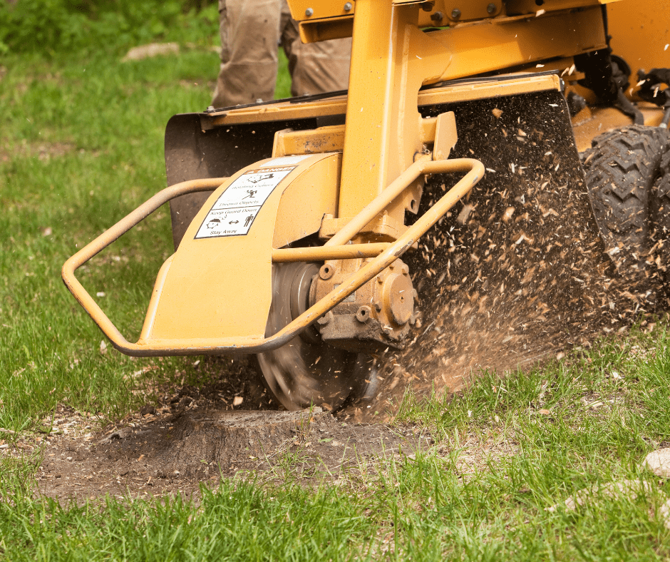 STUMP GRINDING AVON OHIO