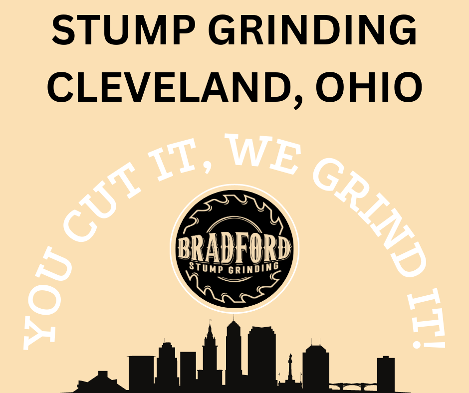stump grinding solutions in Cleveland Ohio